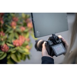 Lampa LED Newell RGB-W Rangha Max XL