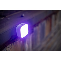 Lampa LED Newell RGB Cutie Pie - biała