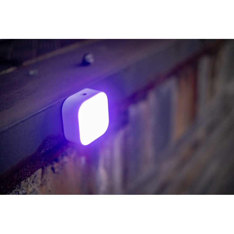 Lampa LED Newell RGB Cutie Pie - biała