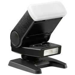 Panasonic DMW-FL200LE