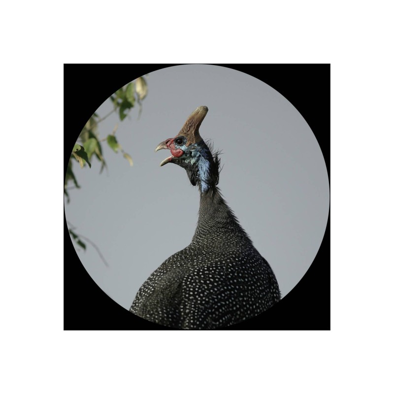 Canon Lornetka Optyczna 10x30 IS II