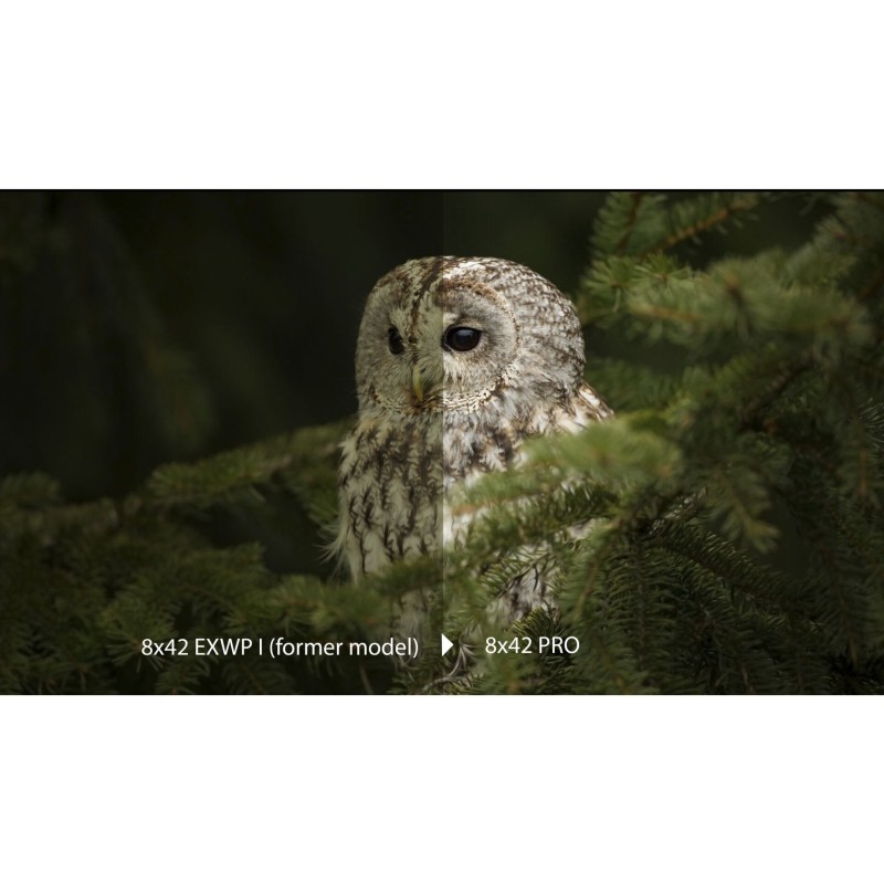 Olympus  8x42 Pro Lornetka Terenowa