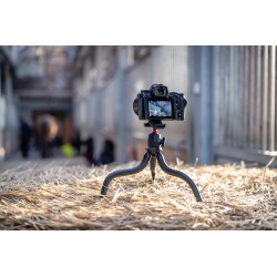 Statyw Fotopro RM-80 z głowicą MH-8 - czarny